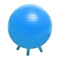 Fitnessfreak Stability Ball with Feet 55 cm FI525578